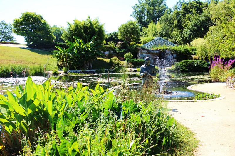 Le jardin des nénuphars Latour-Marliac