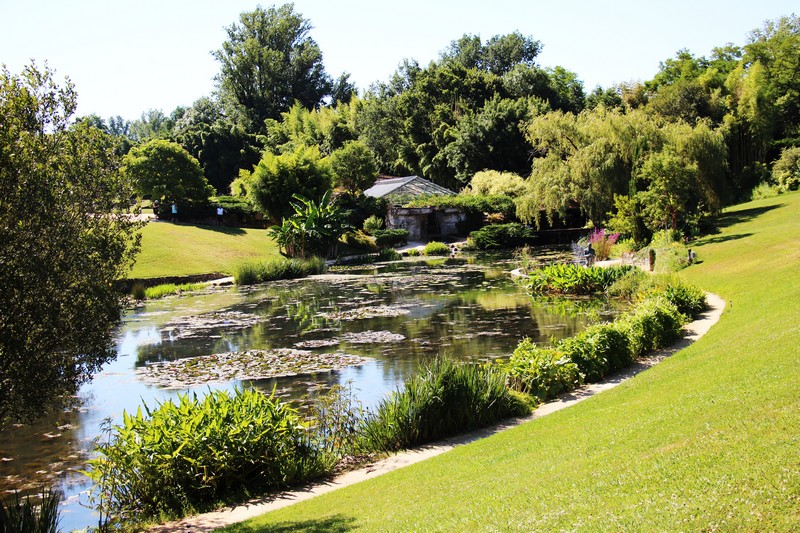 Le jardin des nénuphars Latour-Marliac