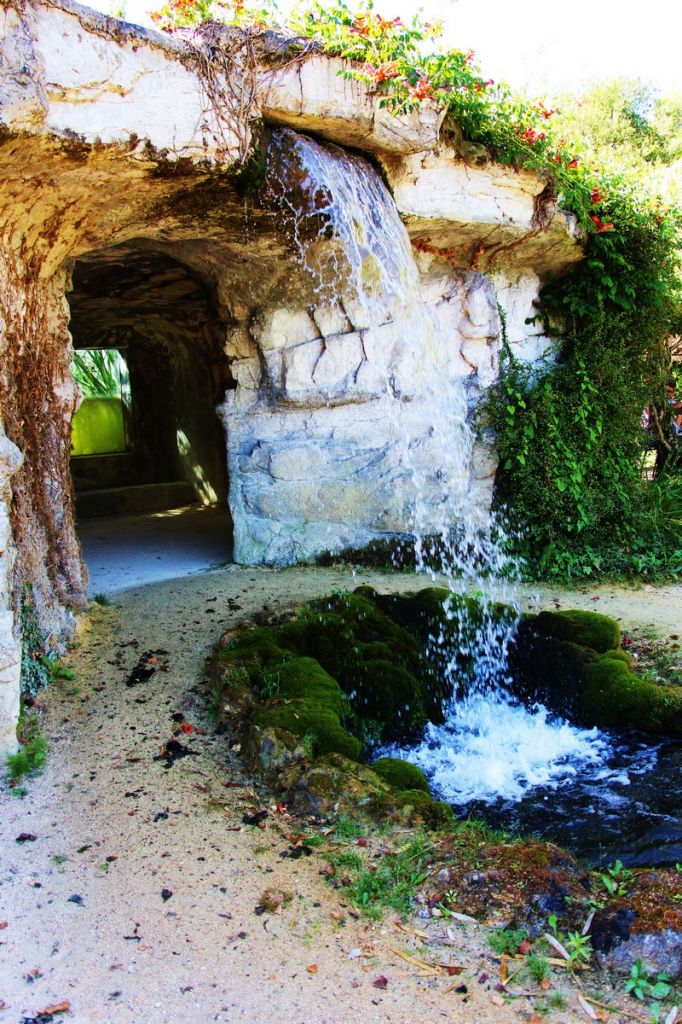 Le jardin des nénuphars Latour-Marliac