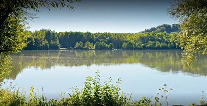 Neguenou Lake Estate