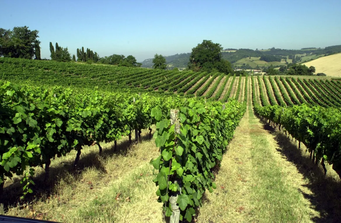 Côtes du Brulhois